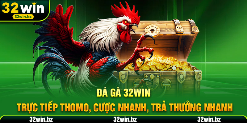 Đá Gà 32WIN – Trực Tiếp Thomo, Cược Nhanh, Trả Thưởng Nhanh